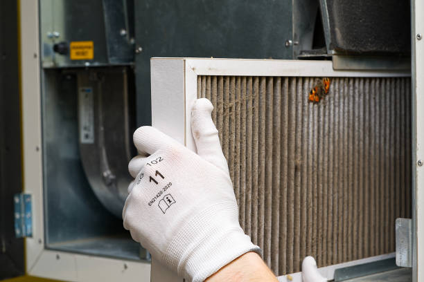 Best Emergency Air Duct Cleaning  in Lillian, AL