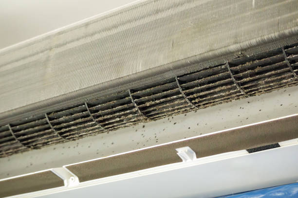 Best Affordable HVAC Duct Cleaning  in Lillian, AL